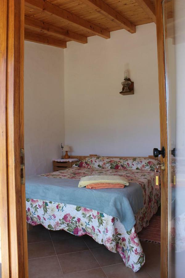 Horta Do Ze Miguel Villa Monchique Ngoại thất bức ảnh